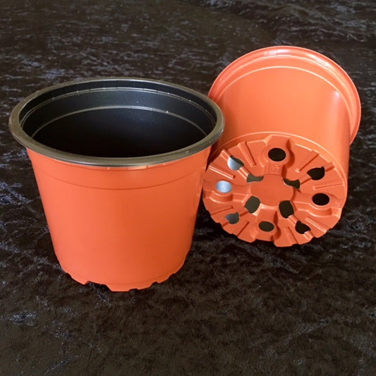 Squat Pots