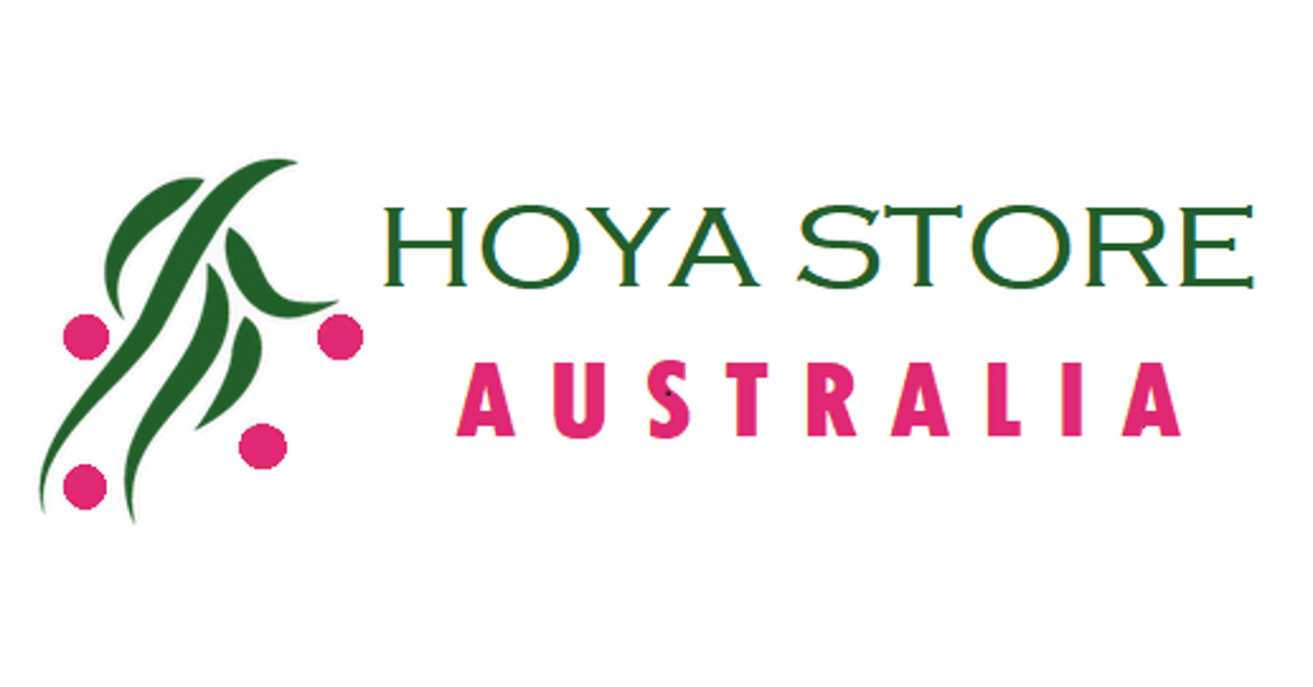 Hoyas – Hoya Store Australia