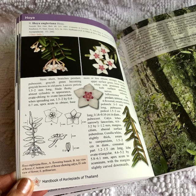 Resource Book: 'Handbook of Asclepiads of Thailand'